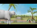 NITROGEN FIXATION