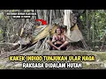 Download Lagu Viral! Het waargebeurde verhaal van een indigo-opa die de aanwezigheid van een drakenslang in het...