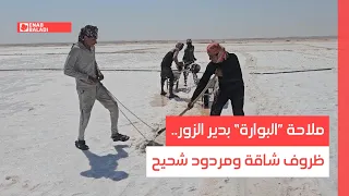                                                                           دندنها