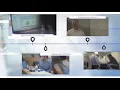 History of Georgetown University School of Continuing Studies