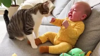 Cat Tries to Stop Crying Baby! ❤️ The Most Heartwarming Moment