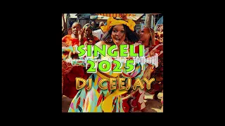 Dj Ceejay Singeli Mix 2025 I Bongo Mix 2025 I Ganda I Amanda IDuniaIunachekeshaIHujanizidiI Afande 