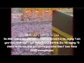 Download Lagu Surah Naziat by Sheikh Ali jaber with English translation (MUST WATCH)