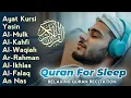 Download Lagu MUROTTAL MERDU Pengantar Tidur AL KAHFI, AL MULK, AR RAHMAN, YASIN, AL WAQIAH | Alaa Aqel