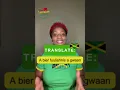 Translate Jamaican to Standard English A bier fuulishnis a gwaan
