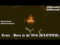 Tems - Hold On (SLOWED) #SLOWED #tems #borninthewild