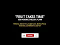 FRUIT TAKES TIME Lyrics | SEU Worship, Chelsea Plank