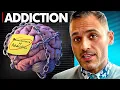How Addiction Hijacks the Brain s Survival Circuits A Neuroscience Breakdown