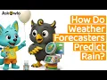 How Do Weather Forecasters Predict Rain Owlo Koko Explore Clouds Satellites Radar