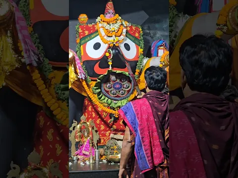ଶ୍ରୀତ କମଳା କୁଚ ମଣ୍ଡଳ, ଧୃତ କୁଣ୍ଡଳ ହେ ।। କାଳିତ ଲଳିତ ବନମାଲ, ଜୟ ଜୟଦେବ ହରେ ।।