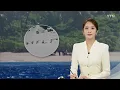 야자수 잎으로 쓴 "HELP!"...태평양 무인도에서 극적 생환 / YTN
