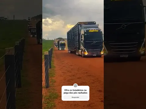 Olha os boiadeiros na pega dos pés rachados #viral #gado #shortvideo #fazenda #agro