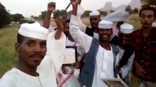 الشاعر محمد المحسي الكبوشابي فخر 