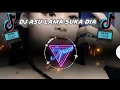 Download Lagu DJ ASU LAMA SUKA DIA II FULL BASS