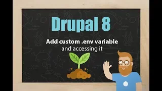 Implementing a custom environment variable and accessing it