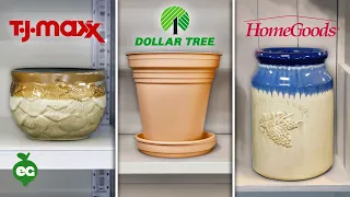 Cheap Plant Pots HomeGoods vs T J Maxx vs DollarTree