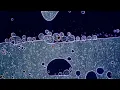 Stars as Eyes (Foam and Sand Rework) - Viktor Orri Árnason & Robot Koch