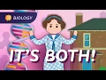 Genetic Traits Nature Nurture Not That Simple Crash Course Biology