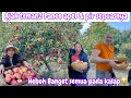 Download Lagu INVITE YOUR FRIENDS TO HARVEST APPLES \u0026 PEARS TO YOUR FULLEST || IT'S SO EXCITING, EVERYONE IS GO...