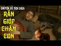 Download Lagu RẮN GIÚP CHĂM CON | Chuyện Cổ Tích Mới 2025🍀Cổ Tích Đất Việt 2025🍀Cổ Tích Việt Nam 2025 | Cổ Tích