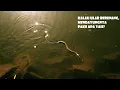 Download Lagu Kenapa Ular Bisa Berenang Padahal Tidak Punya Kaki dan Tangan Untuk Mendayung?