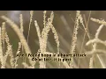 Download Lagu Line Without A Hook lyrics video  (Cover by Karlo \u0026 Alyssa)