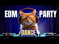 Lagu Club Mix 2025 - Mashup \u0026 Remixes Of Popular Songs 2025 | DJ Party Music Remix 2025 🔥