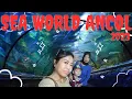 Download Lagu 🇮🇩 SEA WORLD ANCOL 2023 \u0026 CEK HARGA TIKETNYA | DESTINASI AQUARIUM TERBESAR DIJAKARTA