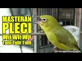 Download Lagu MASTERAN PLECI TEMBAKAN Wit Wit Wit Tulit Tulit Tulit FULL TANPA JEDA DURASI PANJANG
