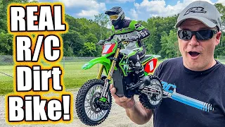 World’s Best RC Motocross Bike! Losi ProMoto MX