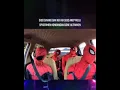 Download Lagu sido sayang ora nek ora sido aku tak melu spidermen kondangan