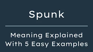 What Does Spunk Mean Spunk Meaning in English With 5 Example Sentences