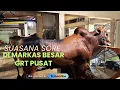 Lagu OWNER GRT PUSAT SIDAK KANDANG DAN MENUNGGU AMUNISI BARU 27 Januari 2026