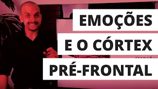 Emoções e o Córtex Pré-Frontal - Professor Matheus Milan