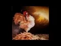 Download Lagu Podravska polka - Ansambl Blaža Lengera