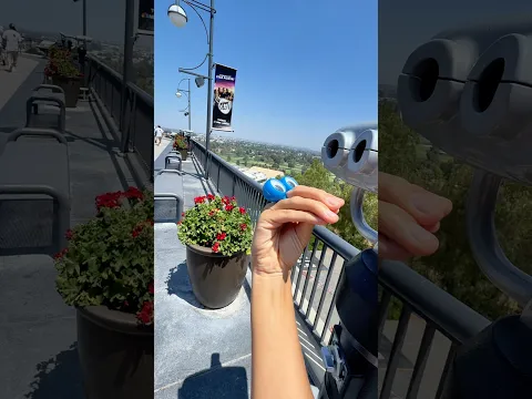 FLOWERS INSTEAD! 😃