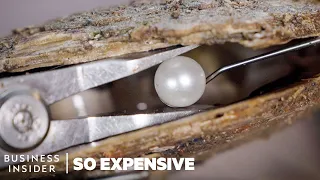 Why South Sea Pearls Are So Expensive So Expensive Business Insider 