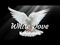 Download Lagu White Dove Kehidupan