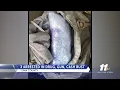 3 arrested in drug gun cash bust in Yuma
