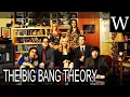 THE BIG BANG THEORY - WikiVidi Documentary