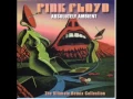 Download Lagu Pink Floyd - Echoes (The Orb Remix)