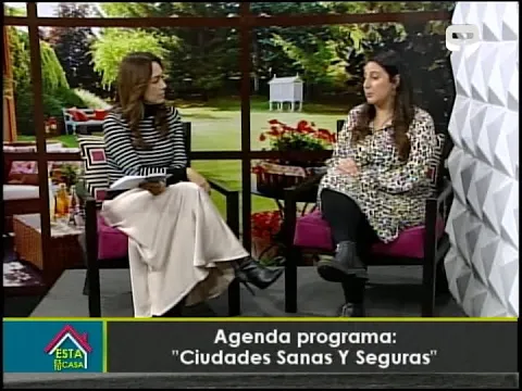 Agenda programa ciudades Sanas y Seguras