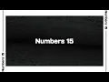 Numbers 15 Bible Reading NIV