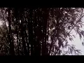 Download Lagu Lagu sunda paling enak || Ade rama - pucuk awi (official music video hd) tembang pop sunda