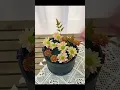 Download Lagu Round bucket flower box for flower arrangements.
