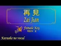 Download Lagu 再見【卡拉OK (女)】《KTV KARAOKE》 - Zai Jian (Female)