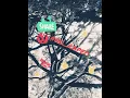 #NO_RAPE Delhi rap case cover by sb_vicky full mp3