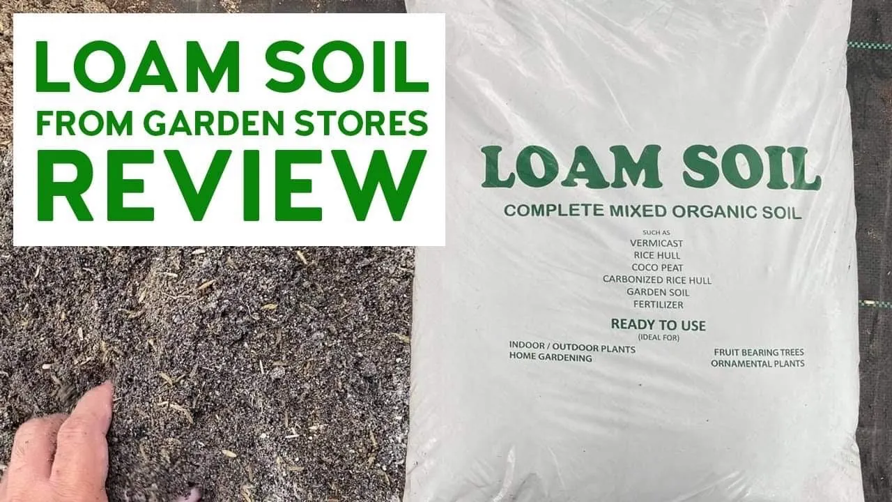 Loam Soil From Garden Stores: Is It Good for Planting? | Carlo The Famer