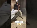 Download Lagu dansa baru