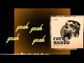 Coronando - Madiel Lara (video lyric)